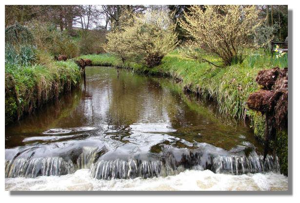 Garden, Geilston House, Argyll