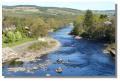 fishing_river_tummel_pitlochry9434z