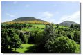 eildon_hills_melrose03365z