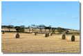 harvest_cambo_p100120z