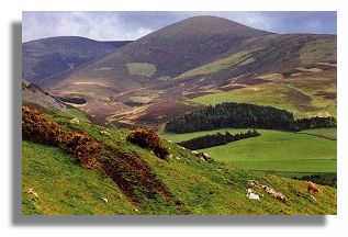 Scottish Borders