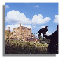 Falconry at Dalhousie Castle