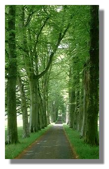 Entrance to Drummond Castle, Perthshire