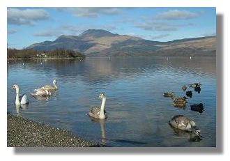 Loch Lomond
