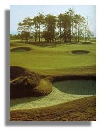 Golf at St Andrews