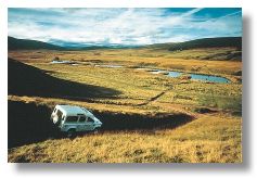 Rothiemurchus Estate