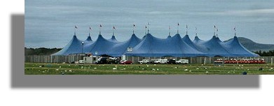 T in the Park
