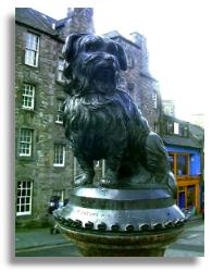 Greyfriar's Bobby