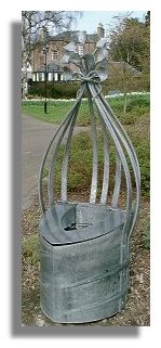 Deschampsia Caespitosa