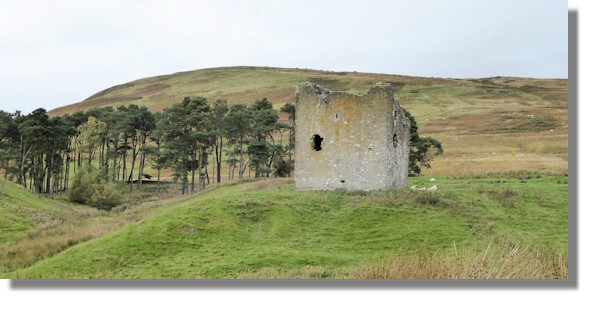 Dryhope Tower