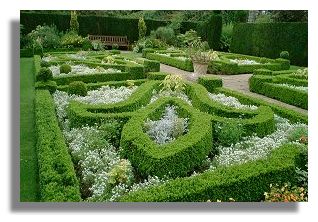 Parterre