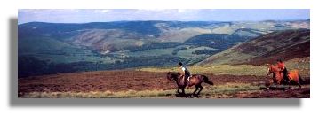 Horse Riding in the Borders