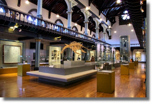 Inside Hunterian Museum