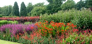 Herbaceous Border