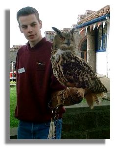 McKinder's Eagle Owl