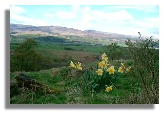 View from Auchingarrich Wildlife Centre
