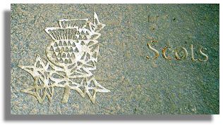 The Scots