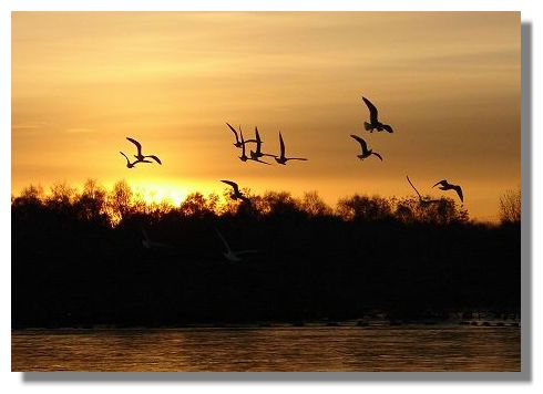 Sunset at Lochend Loch